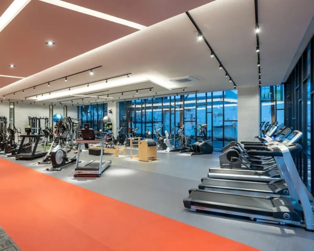 Gyms & Fitness Studios