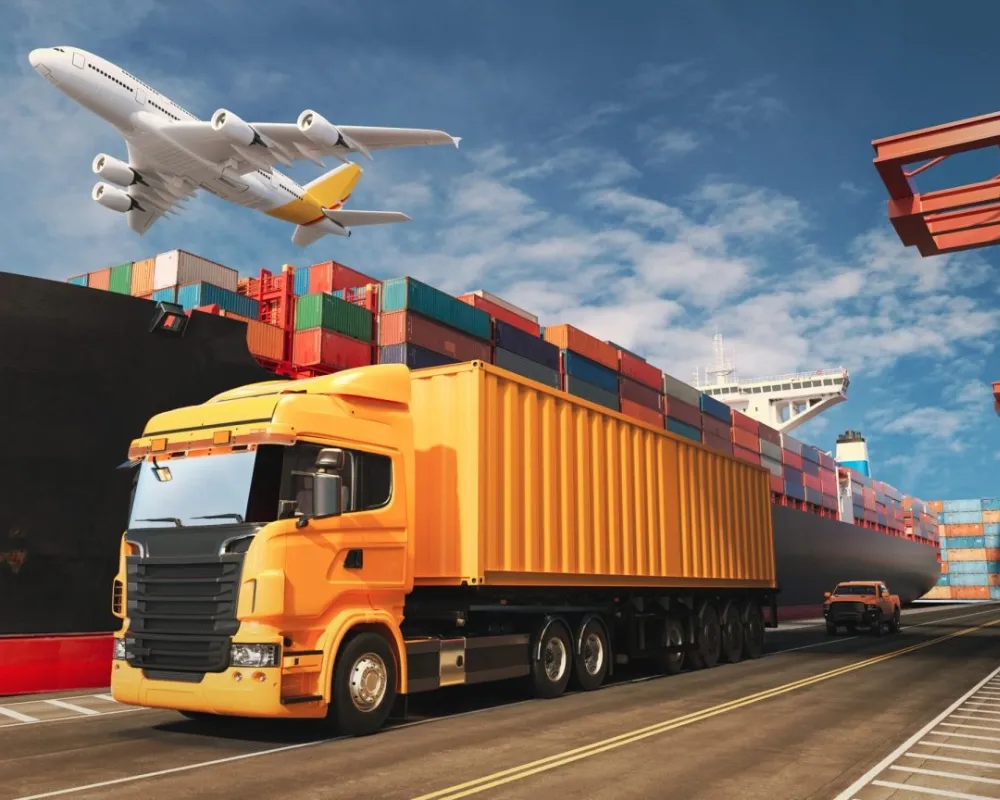 Import & Export
